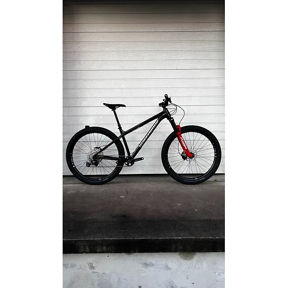 Custom nukeproof scout 2025